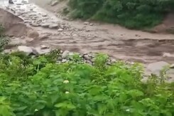 Himachal Pradesh Rains: Trees Uprooted In Shimla, Many Trapped Himachal Pradesh Rains: Trees Uprooted In Shimla, Many Trapped