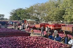 Onions At Rs 25/Kg: Centre Steps In To Avert Crisis As Prices Soar Onions At Rs 25/Kg: Centre Steps In To Avert Crisis As Prices Soar