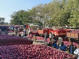 गुजरातच्या कांद्याला निर्यातीची परवानगी, महाराष्ट्रासाठी मात्र नकार