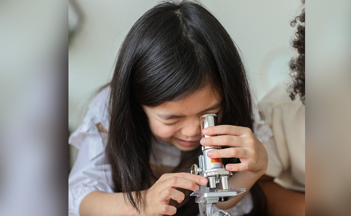 "Critical Thinking...": Bureaucrat's List Of Home Experiments For Children Wins Internet