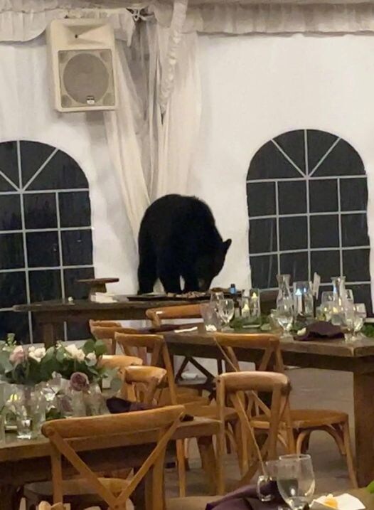 Colorado Know All About Colorado at NDTV Food