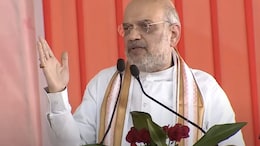 "Let Us Pledge To Build Strong India": Amit Shah On Constitution Day