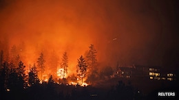 "You Burn...": Israel's Post On Los Angeles Wildfires Draws Backlash Amid Gaza War