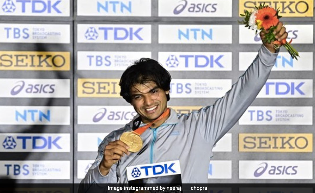 "You Are Not Neeraj Chopra's Javelin": Delhi Police's Witty Traffic Advisory For Drivers, Riders