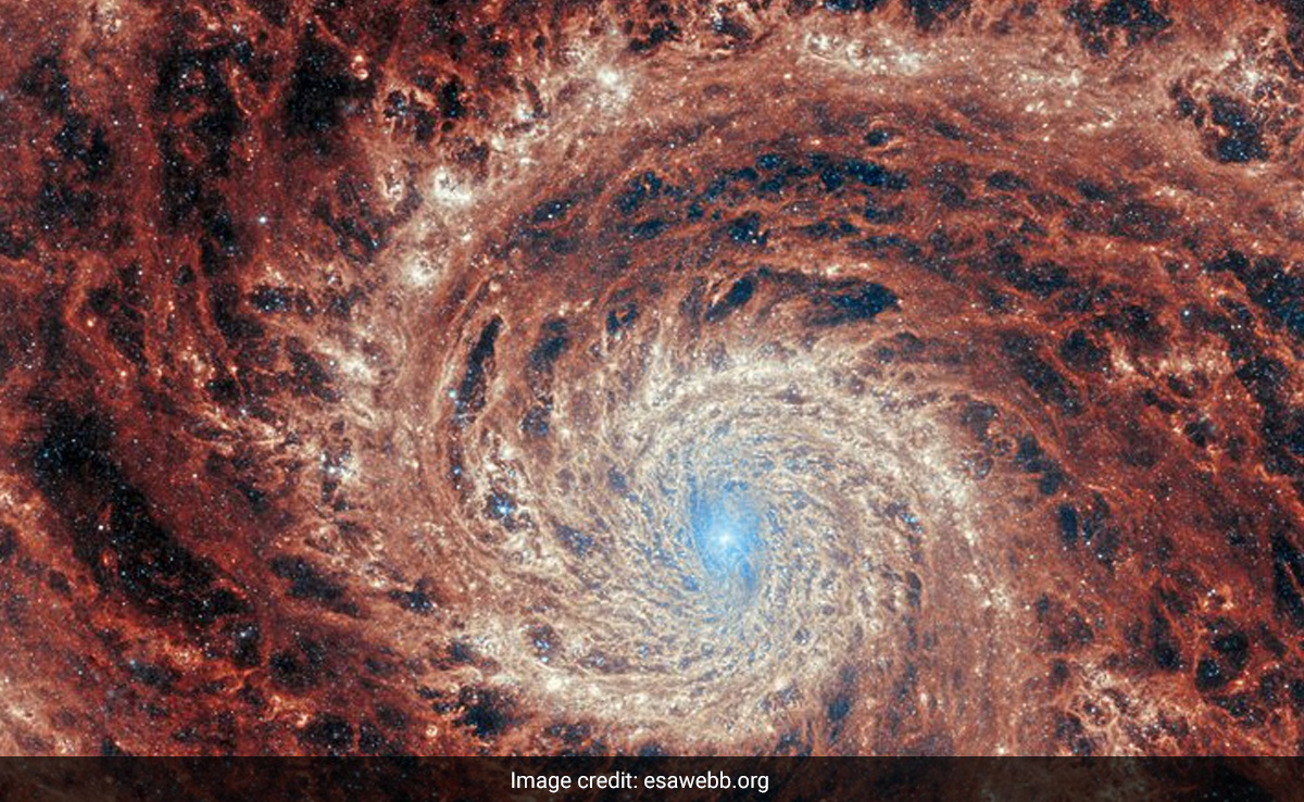 James Webb Telescope Captures Stunning Vortex In Space. See Pic