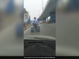बाइक पर बैठकर दो ट्रॉली बैग घसीटते हुए जा रहा था शख्स, लोग बोले- रिक्शेवाले ने लगेज के एक्स्ट्रा पैसे मांग लिए बाइक पर बैठकर दो ट्रॉली बैग घसीटते हुए जा रहा था शख्स, लोग बोले- रिक्शेवाले ने लगेज के एक्स्ट्रा पैसे मांग लिए