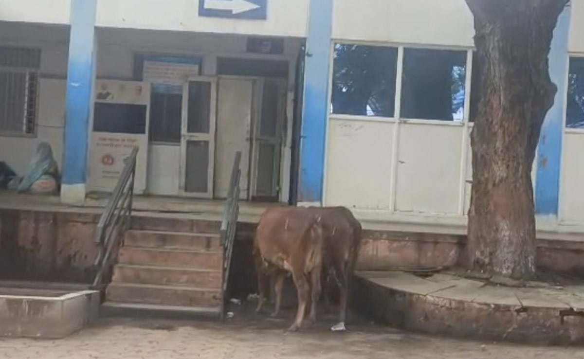 रोगी कतार में, डॉक्टर प्राइवेट अस्पताल में... जिला अस्पताल में मरीज खाली कुर्सियों से कर रहे इलाज की गुहार