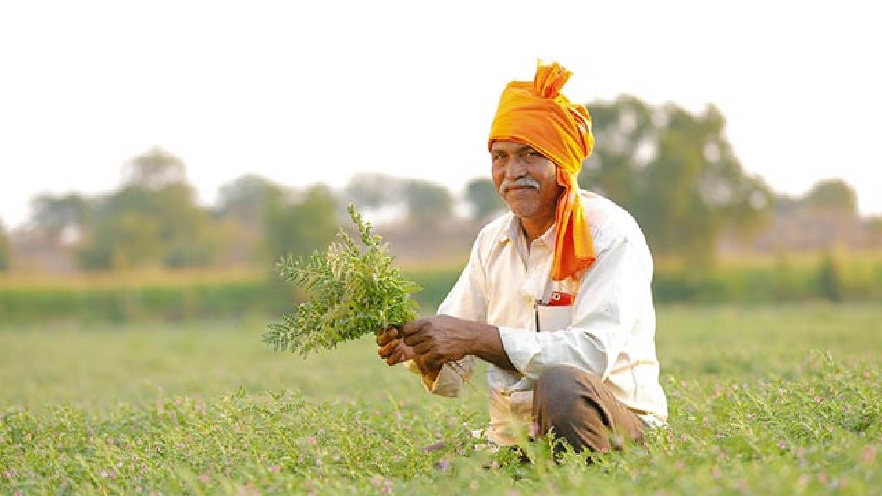 मध्य प्रदेश में बारिश होने से किसानों के चेहरे पर आई मुस्कान, मौसम हुआ सुहाना