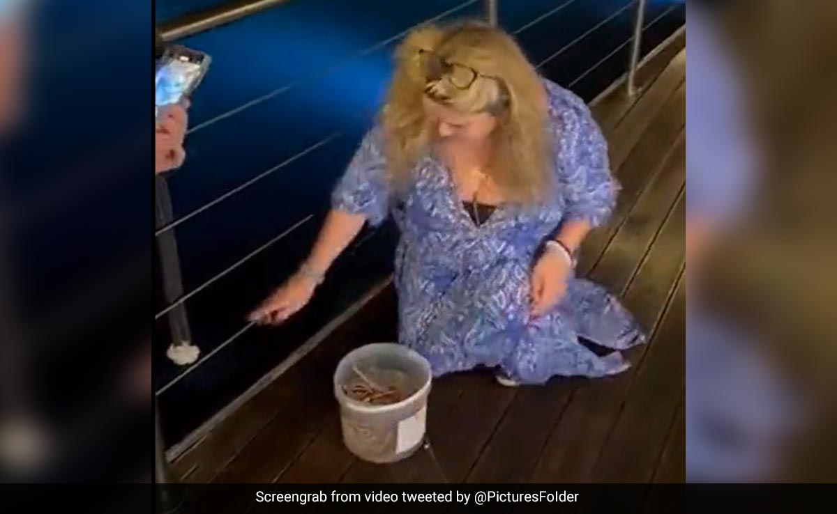 Tourist Pays $200 For Lobster At Island Restaurant. Then She Does This