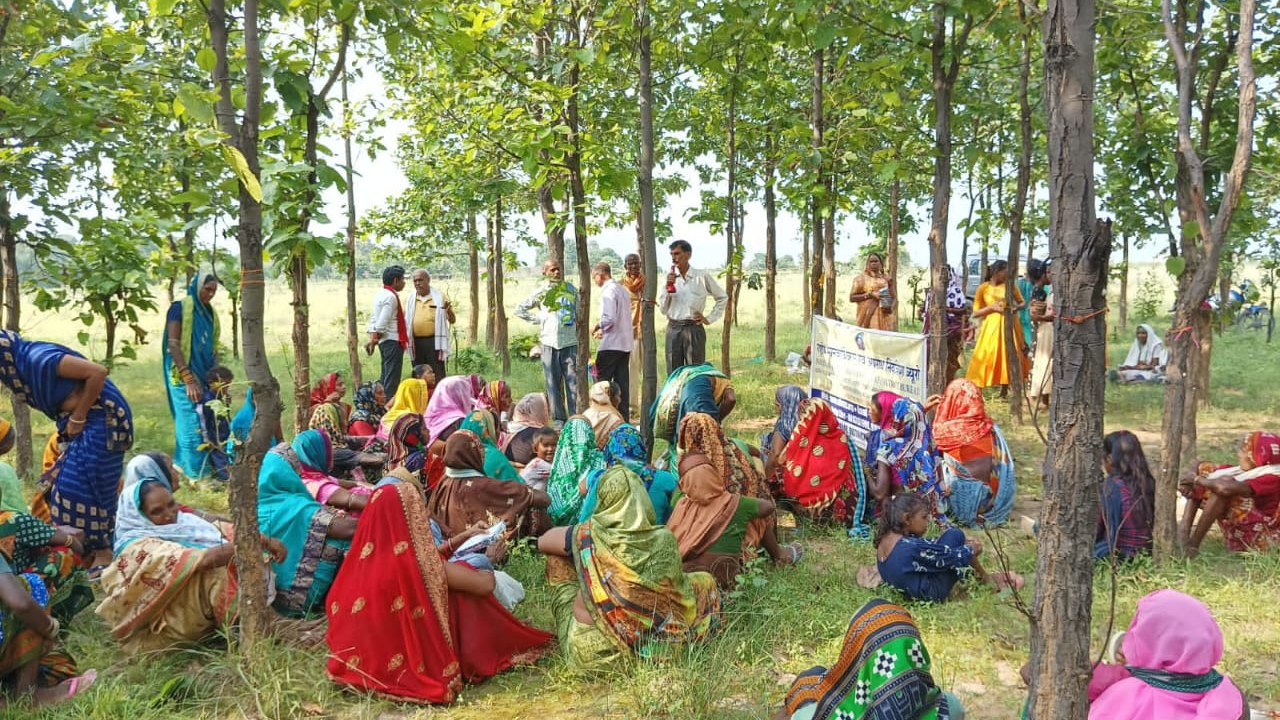 रायगढ़ में रक्षाबंधन पर महिलाओं ने पेड़ों को राखी बांधकर लिया संकल्प