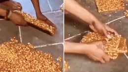 Watch: Video Showing Making of Chikki In Unhygienic Way Angers The Internet