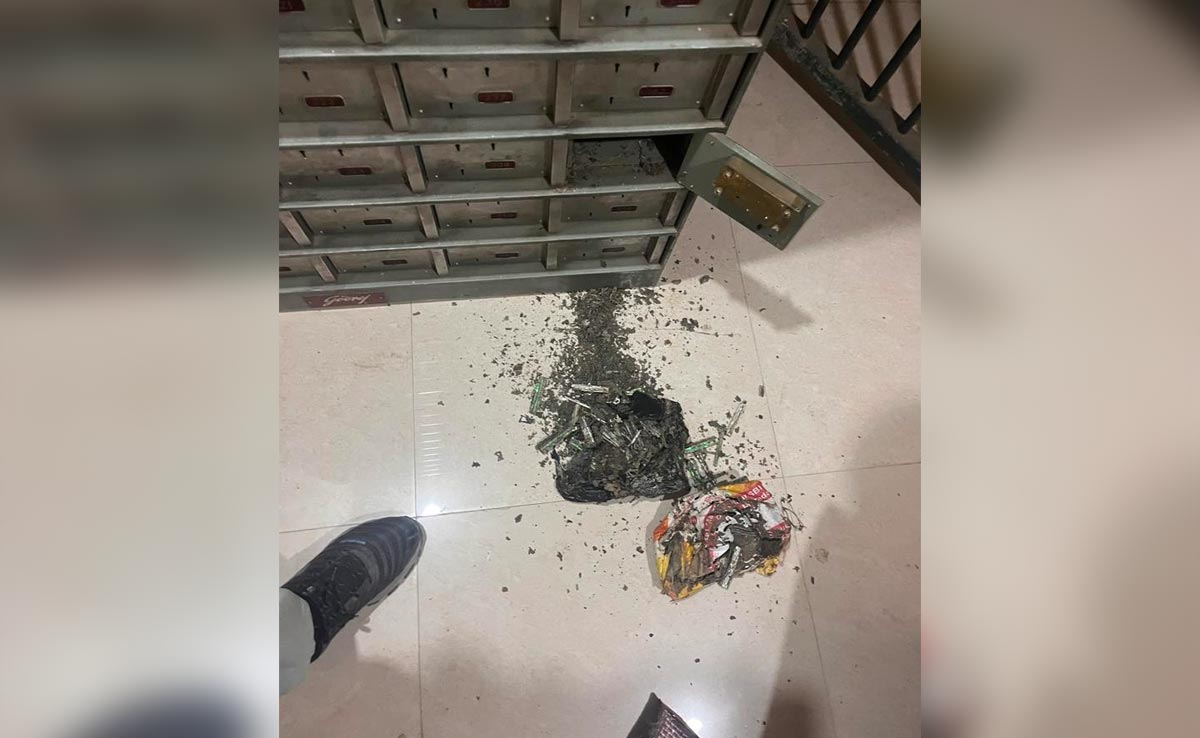 She Opened Bank Locker After A Year. Termites Ate 18 Lakh Cash She Stored