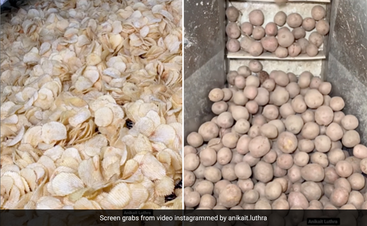 आलू चिप्स है पसंद? तो देखिए फैक्ट्री में कैसे बनाए जाते हैं ये स्वादिष्ट Potato Chips