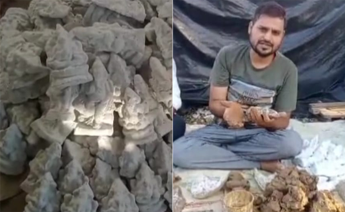 इको फ्रेंडली गणेश प्रतिमाओं से होगा विसर्जन... पर्यावरण को नहीं होगा नुकसान