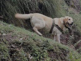 Army Dog 'Kent' Who Died In Rajouri Encounter Participated In 9 Operations