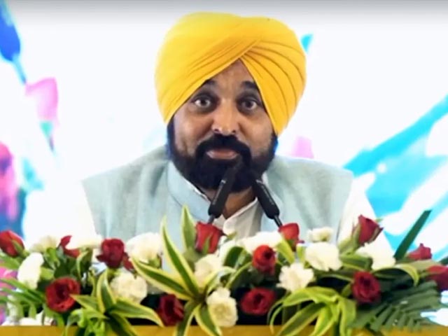 "Responsibilities...": Bhagwant Mann's Marriage Jab At Raghav Chadha