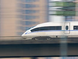 Japan's Busiest Shinkansen Line Halted After Snake Spotted On Power Pole