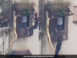 खिड़की से लटकर बेडरूम में घुसने वाला था विशालकाय अजगर, दहशत में घर वालों ने किया ये काम खिड़की से लटकर बेडरूम में घुसने वाला था विशालकाय अजगर, दहशत में घर वालों ने किया ये काम