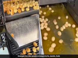 फैक्ट्री में इतनी सफाई से पानी पुरी बनते देख हैरान हुए लोग, कही ऐसी बात, खराब हो जाएगा मूड - देखें Video फैक्ट्री में इतनी सफाई से पानी पुरी बनते देख हैरान हुए लोग, कही ऐसी बात, खराब हो जाएगा मूड - देखें Video