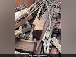 इस तस्वीर में छिपी बिल्ली को 5 सेकंड में खोजा तो कहलाएंगे स्मार्ट, अबतक 99% लोग मान चुके हैं हार इस तस्वीर में छिपी बिल्ली को 5 सेकंड में खोजा तो कहलाएंगे स्मार्ट, अबतक 99% लोग मान चुके हैं हार