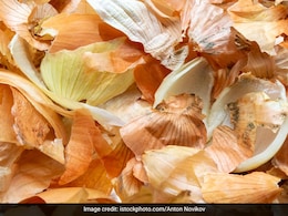 प्याज के छिलकों को कूड़े में न फेंकें, इस तरह करें इस्तेमाल, त्वचा, बाल और काढ़ा बनाकर सेहत के लिए करेंगे कमाल प्याज के छिलकों को कूड़े में न फेंकें, इस तरह करें इस्तेमाल, त्वचा, बाल और काढ़ा बनाकर सेहत के लिए करेंगे कमाल