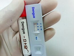 अर्जेंटीना में डेंगू से हाहाकार, अब तक 527,000 से ज्यादा मामले दर्ज, जानिए डेंगू से कैसे बचें, आसान उपाय