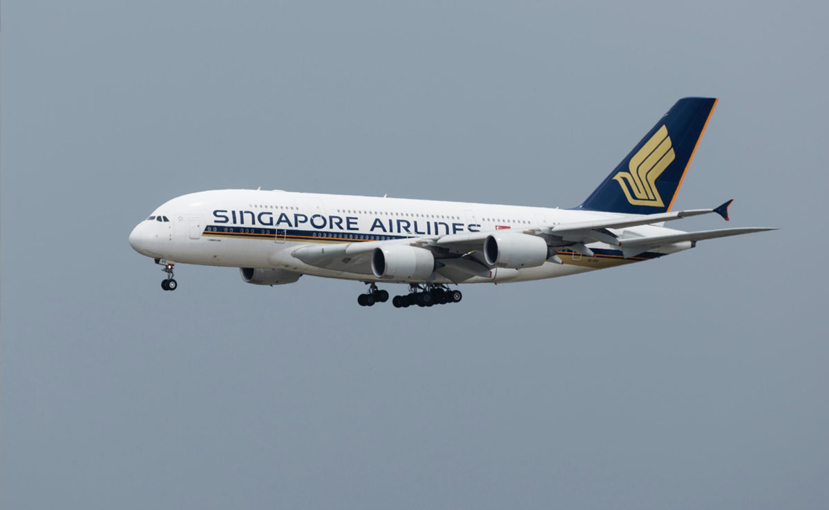 New Zealand Couple Receives $1,400 Refund After Being Seated Next To A Farting Dog On Flight