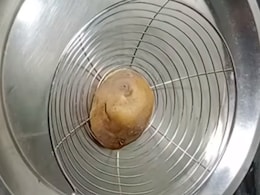 Boiled Potatoes Peeling Hack: उबले आलू छीलने में होती है परेशानी तो यहां देखें वायरल हैक Boiled Potatoes Peeling Hack: उबले आलू छीलने में होती है परेशानी तो यहां देखें वायरल हैक