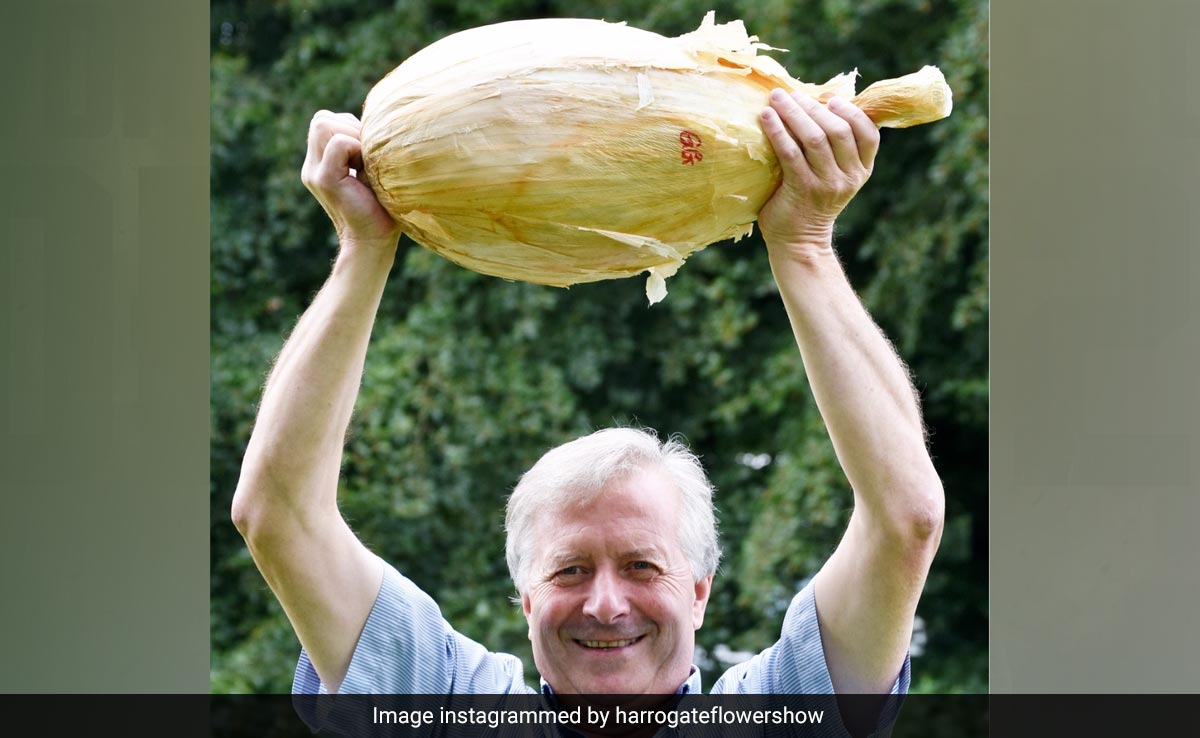 शख्स ने उगाया 8.97 किलोग्राम का विशाल प्याज, लोगों को नहीं हो रहा यकीन, पूछा ये सवाल