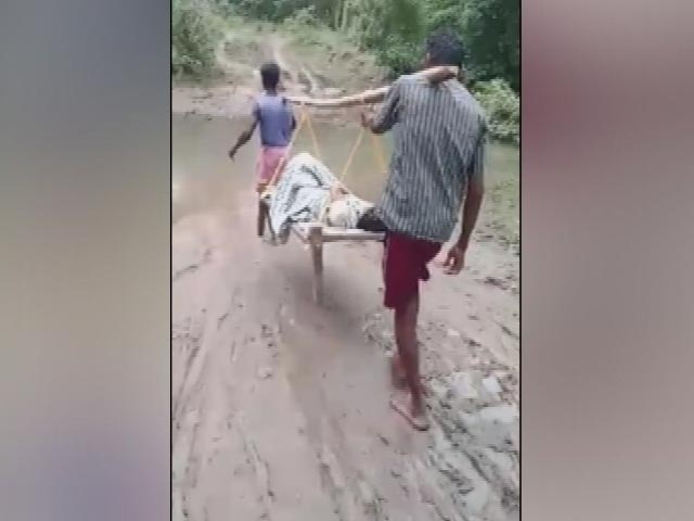 No Road, Pregnant Telangana Woman Carried To Hospital In 'Doli'