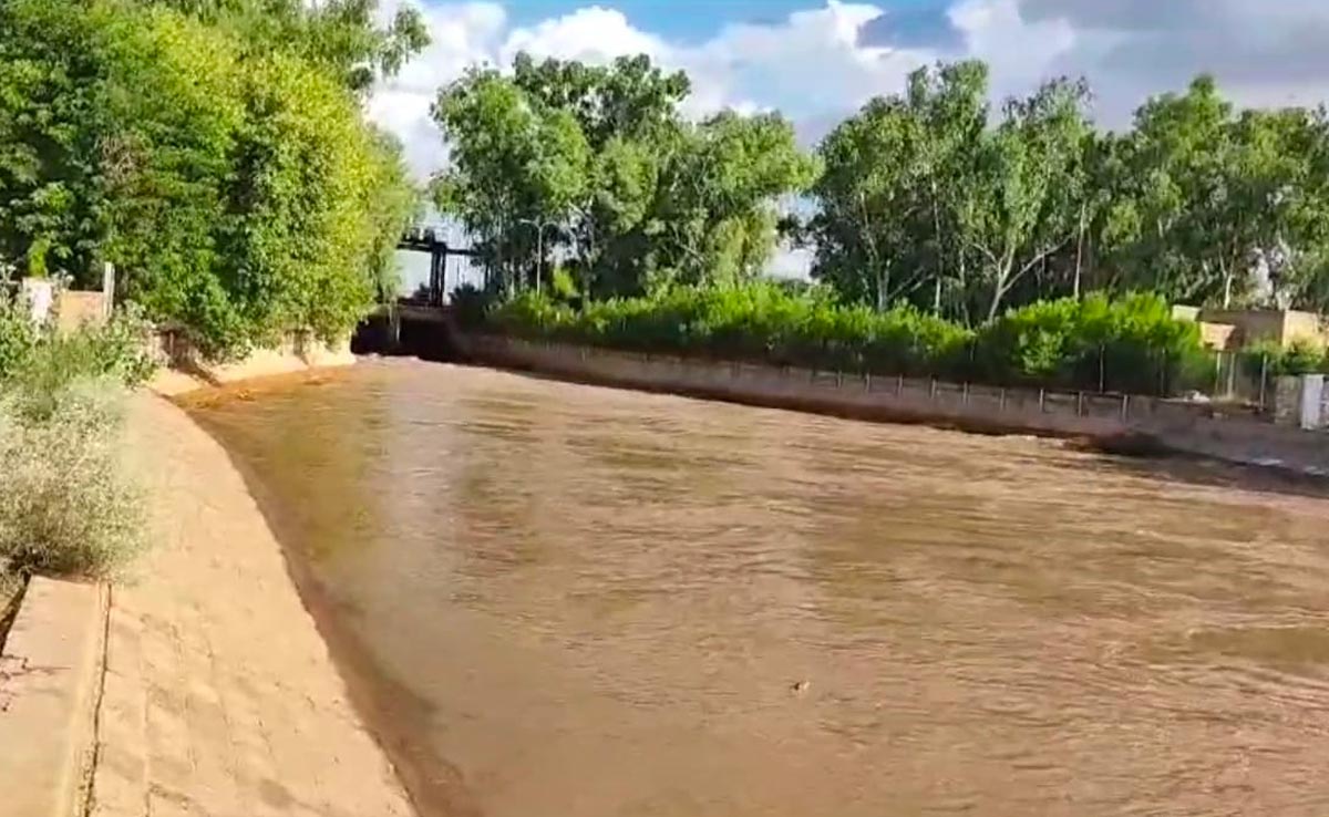Indira Gandhi Canal: नहर में आया क्षमता से दोगुना पानी, अधिकारियों के फूले हाथ-पांव