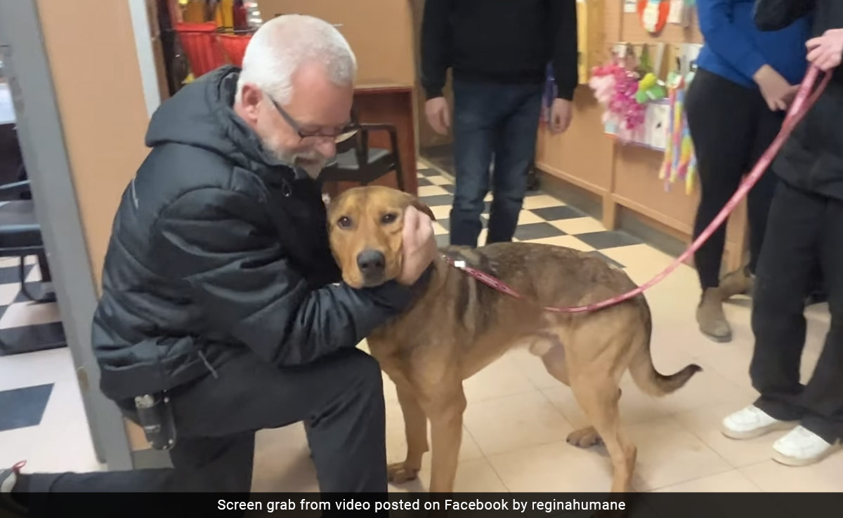 "Lucky Human": People Celebrate As Dog Leaves Shelter With Its New Pet Parent