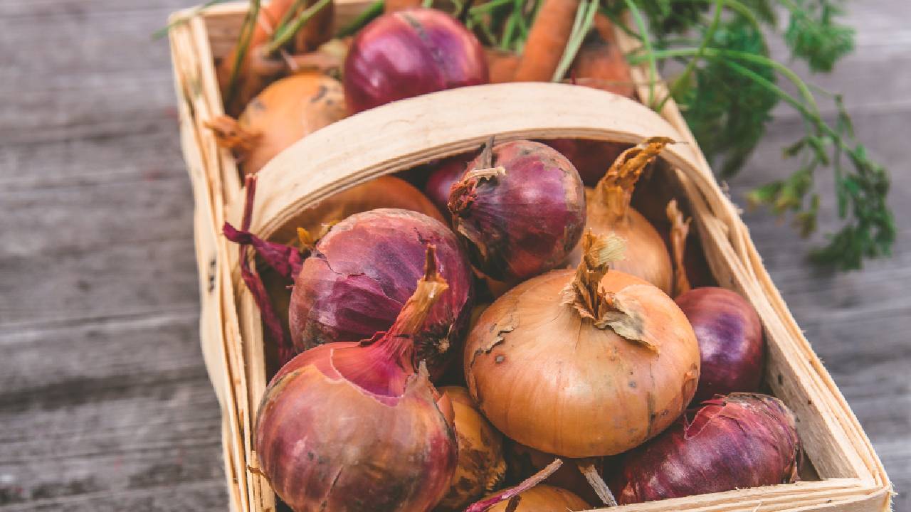 कम खाएं कच्चा प्याज, सेहत को हो सकती हैं ये समस्याएं