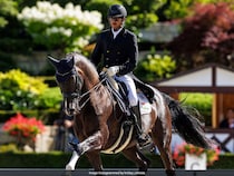 Clubs Do Not Have Voting Rights In Governance Of Equestrian Federation Of India: Delhi High Court