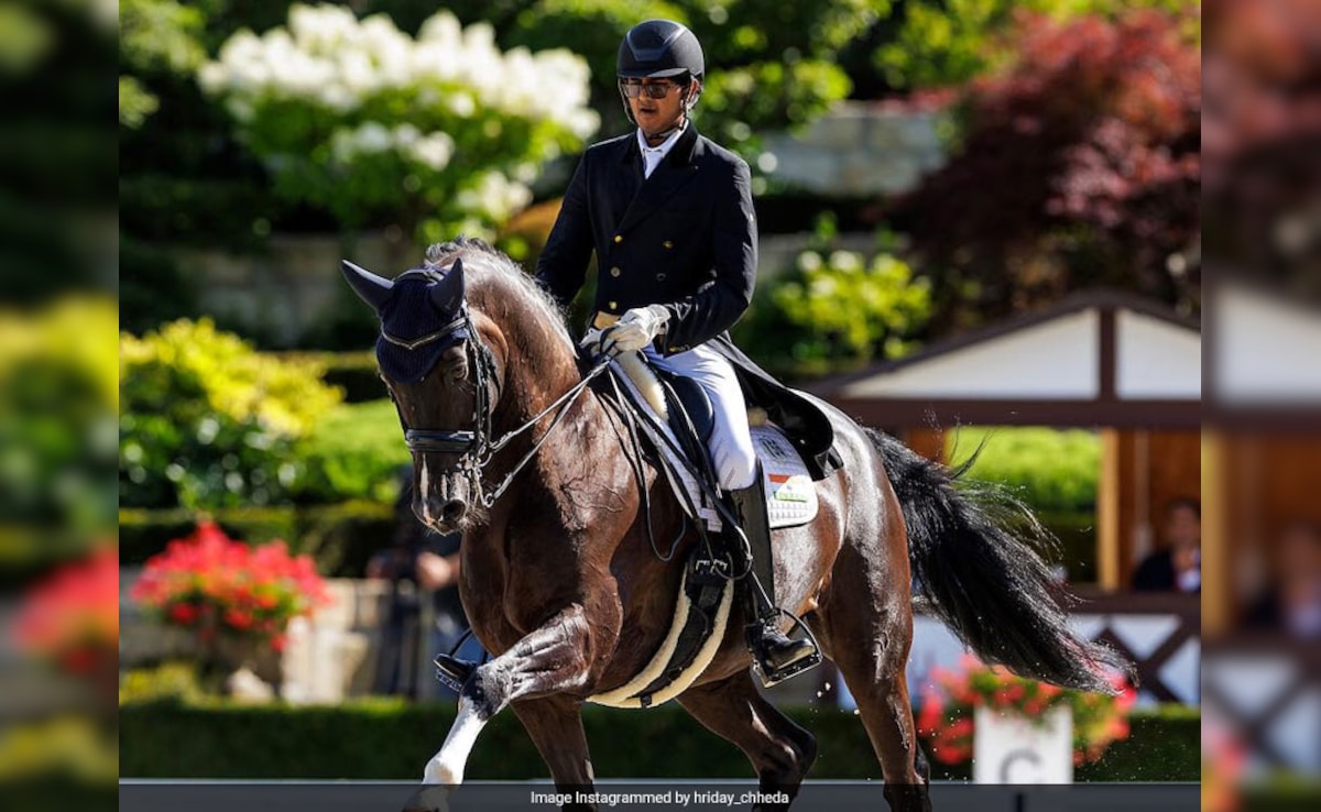 Clubs Do Not Have Voting Rights In Governance Of Equestrian Federation Of India: Delhi High Court