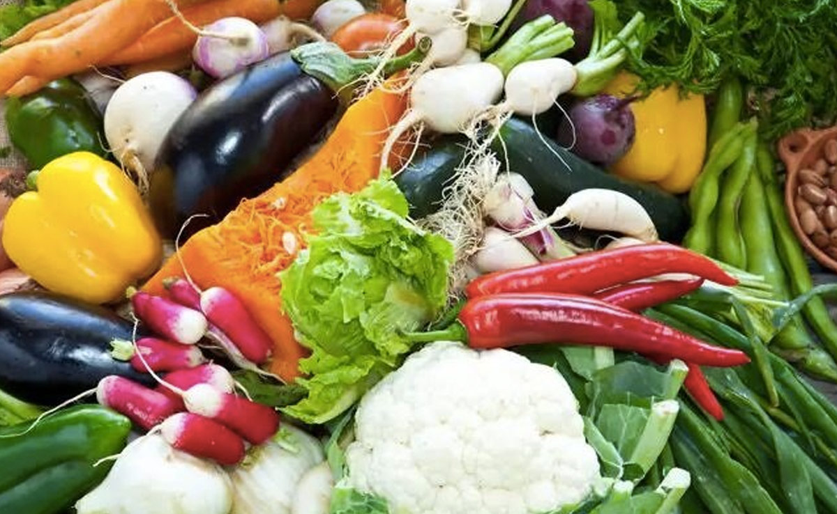 इंदौर की सब्जी मंडी में प्लास्टिक की थैलियों को 'ना', हर दुकान के आगे कूड़ेदान