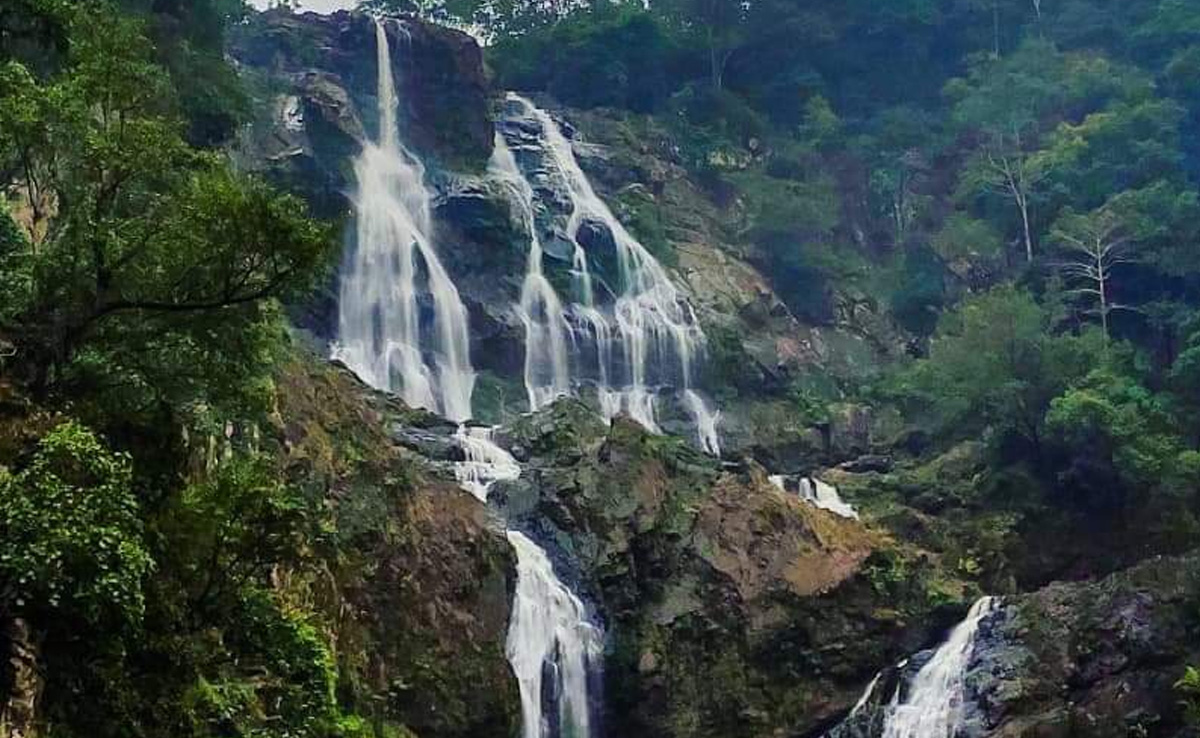 छत्तीसगढ़ के बलरामपुर में शिक्षिका से गैंगरेप, वॉटर फॉल दिखाने के बहाने करतूत को दिया अंजाम