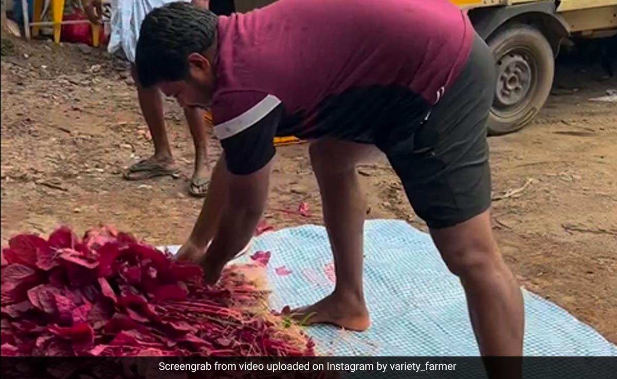 Viral Video: Kerala Farmer Arrives In Audi A4 To Sell Vegetables At Roadside Market
