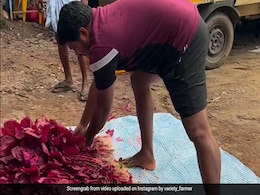 Viral Video: Kerala Farmer Arrives In Audi A4 To Sell Vegetables At Roadside Market Viral Video: Kerala Farmer Arrives In Audi A4 To Sell Vegetables At Roadside Market