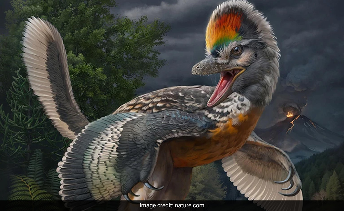 Fossil Of "Bizarre" Bird-Like Dinosaur With Surprising Features Discovered In China