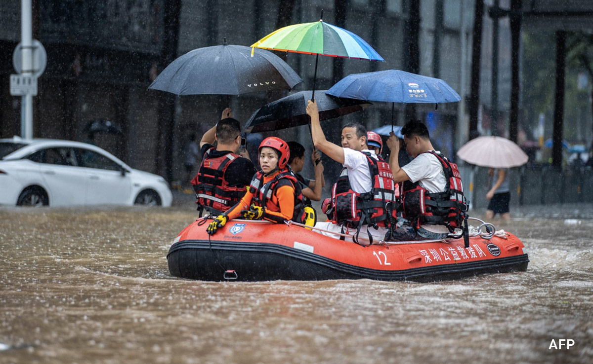 Chinese City Launches Operations To Hunt For Crocodiles Set Loose By Flooding