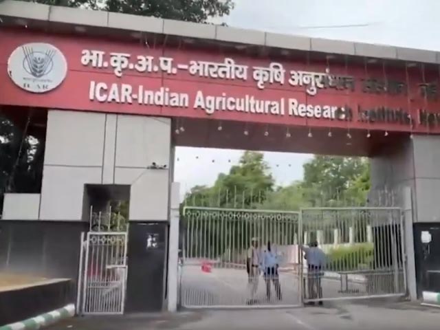 G20 Summit: विदेशी मेहमानों को मिलेट्स की फसलें क्यों दिखा रहा है भारत?