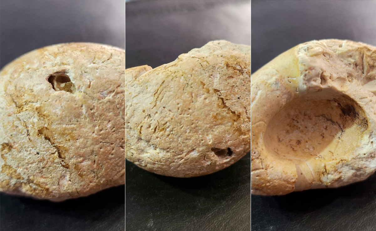 जैसलमेर में मिला जुरासिक काल के अंडे का जीवाश्म, डायनासोर का हो सकता है अंडा!