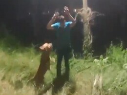 Army Remembers Brave Dog Kent Who Died Saving Soldier From Terrorists Army Remembers Brave Dog Kent Who Died Saving Soldier From Terrorists