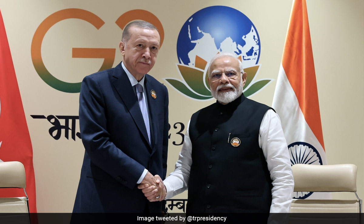 Turkey "Will Be Proud": Erdogan On Permanent UNSC Membership For India