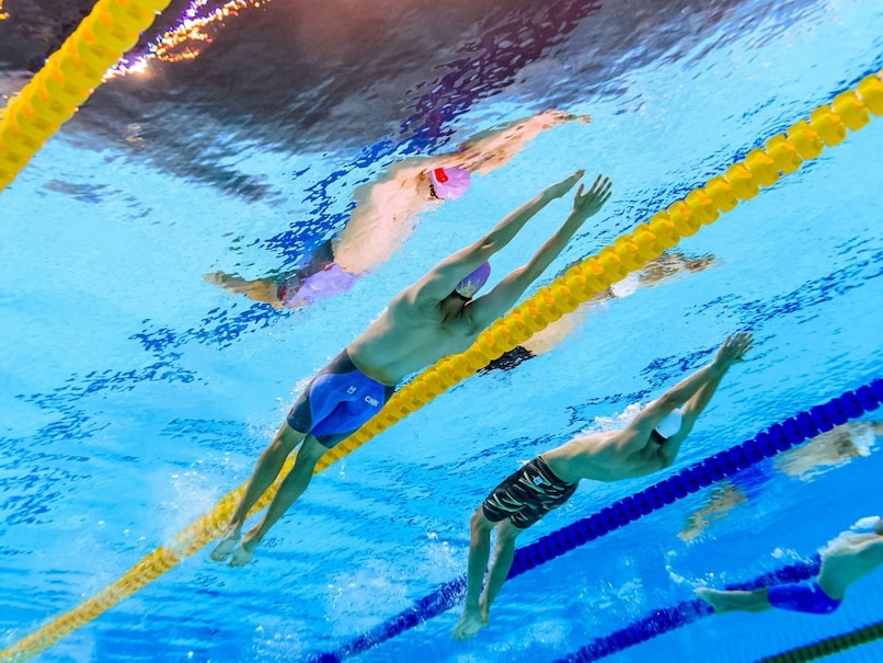 The Art of Baking: From Classic Bread to Artisan Pastries