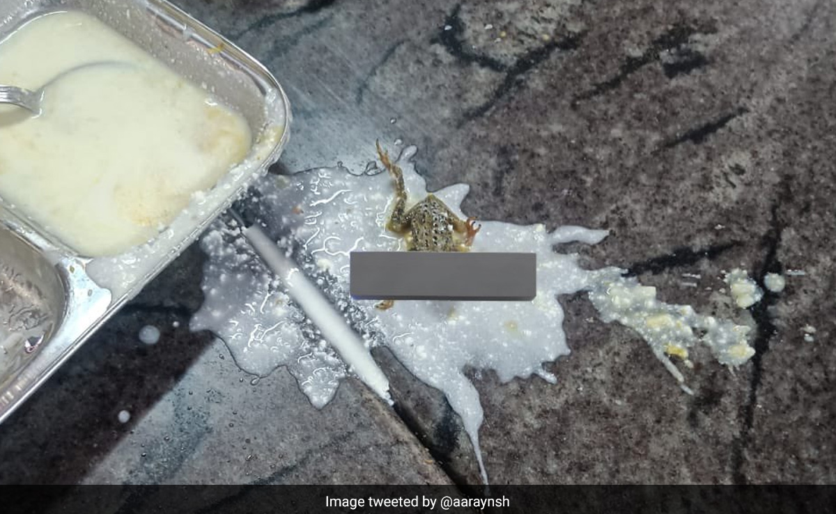 Odisha Student Finds Dead Frog In Hostel Food, College Responds