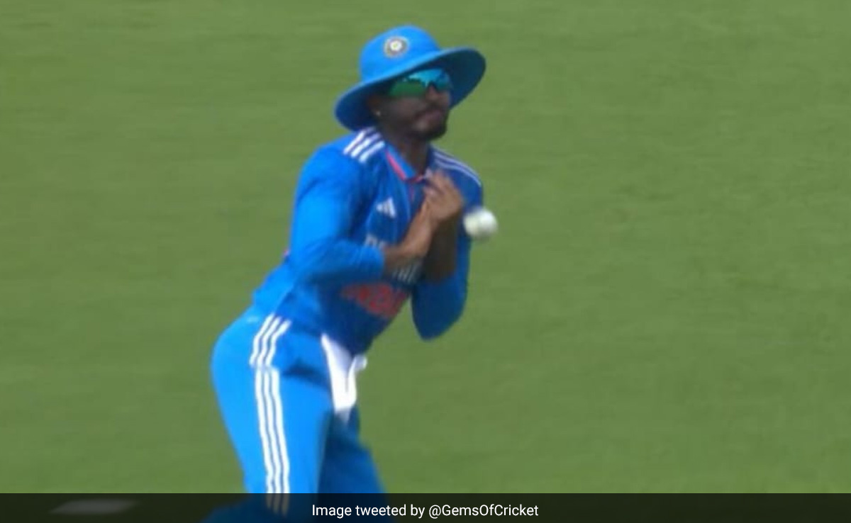 IND vs AUS: श्रेयस अय्यर ने डेविड वॉर्नर का टपकाया 'लॉलीपॉप कैच' देखकर यकीन नहीं होगा, देखें Video