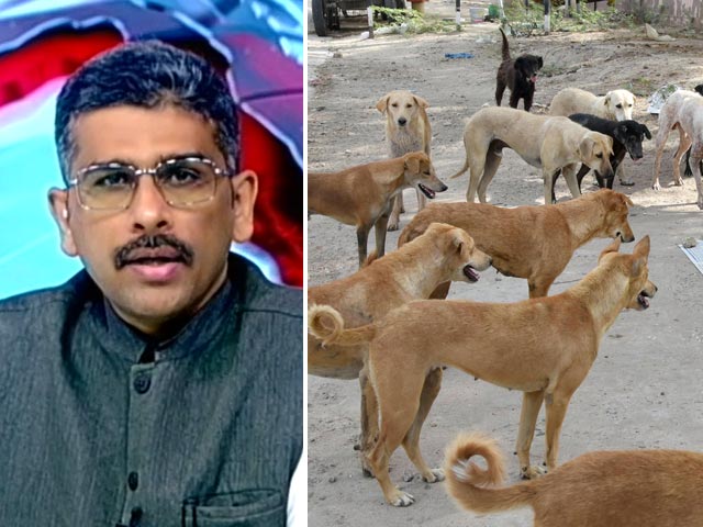 खबरों की खबर:  सुप्रीम कोर्ट ने कुत्तों द्वारा काटने की घटनाओं पर जताई चिंता