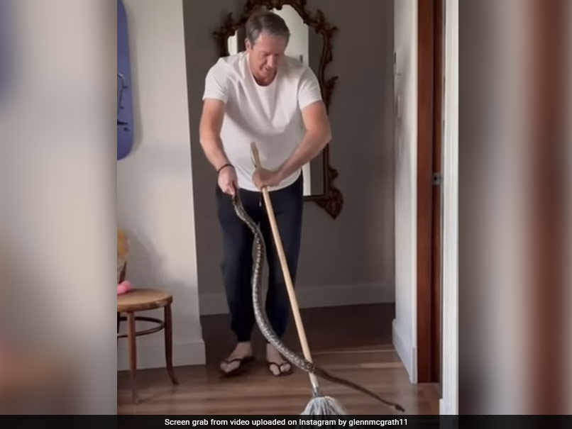 Watch Video: अजगर से कुछ इस अंदाज़ में निपटते नज़र आये ऑस्ट्रेलिआई दिग्गज ग्लेन मैकग्राथ, फिर आगे जो हुआ यहां देखें